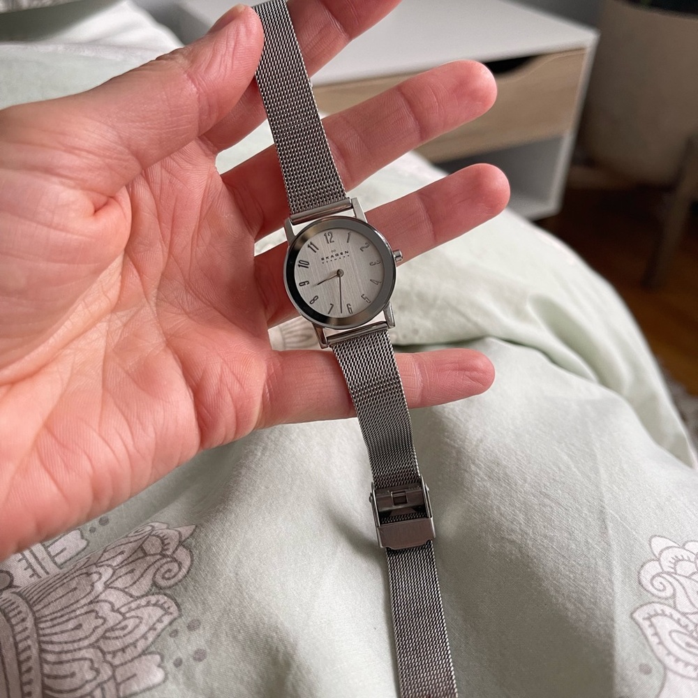 Skagen Silver Mesh Strap Watch